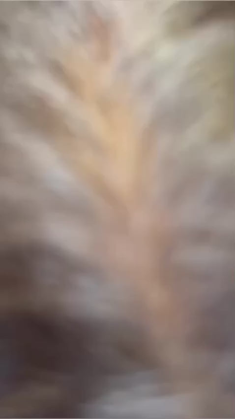 CHAO CANAS MALAYA | Recupera Tu Color Natural y Dile Adiós a las Canas